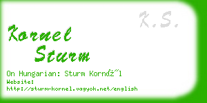 kornel sturm business card